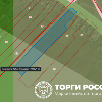 Изображение для лота №4519496