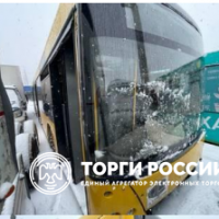 Изображение для лота №4519254