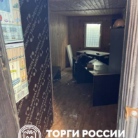 Изображение для лота №4508294