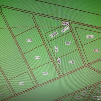 Изображение для лота №4519055