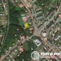 Изображение для лота №4517403