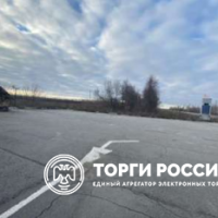 Изображение для лота №4471596