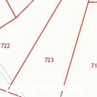 Изображение для лота №4519821