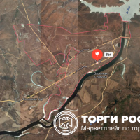 Изображение для лота №4514787