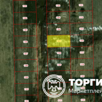 Изображение для лота №4515733