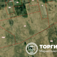 Изображение для лота №4520749
