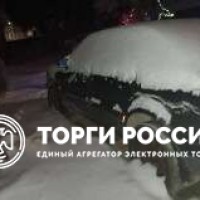 Изображение для лота №4513997