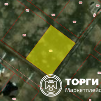Изображение для лота №4520507