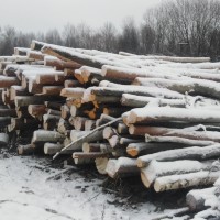Изображение для лота №4517500