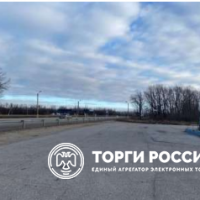 Изображение для лота №4471596