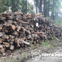Изображение для лота №4518987