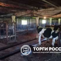 Изображение для лота №4515262
