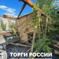 Изображение для лота №4515210