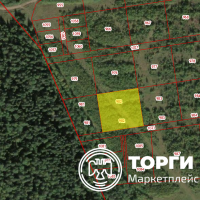 Изображение для лота №4520174