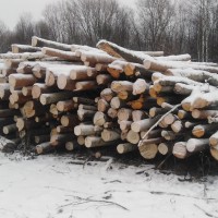 Изображение для лота №4517500