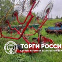 Изображение для лота №4510977