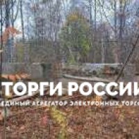 Изображение для лота №4519151