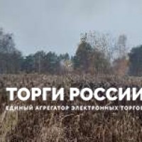 Изображение для лота №4519151