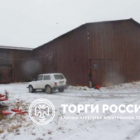 Изображение для лота №4520132