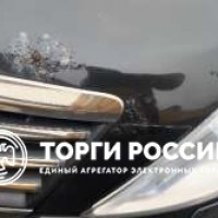 Изображение для лота №4519374