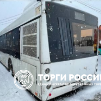 Изображение для лота №4519253