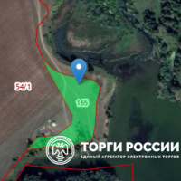 Изображение для лота №4520646