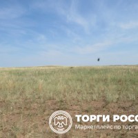 Изображение для лота №4498344