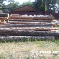 Изображение для лота №4518907