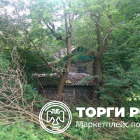 Изображение для лота №4520462