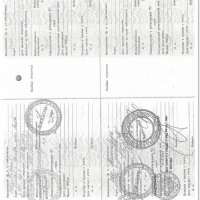 Изображение для лота №4512817