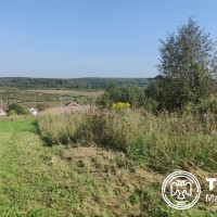 Изображение для лота №4341304