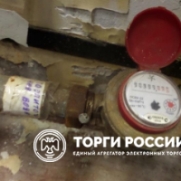 Изображение для лота №4520187