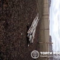 Изображение для лота №4517068