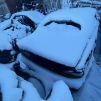 Изображение для лота №4516120