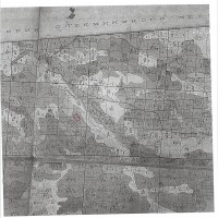 Изображение для лота №4516582