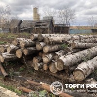 Изображение для лота №4519530