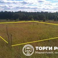 Изображение для лота №4516270