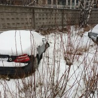 Изображение для лота №4501085