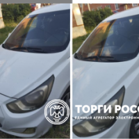 Изображение для лота №4517636