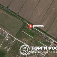 Изображение для лота №4514706