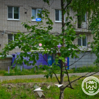 Изображение для лота №4517259