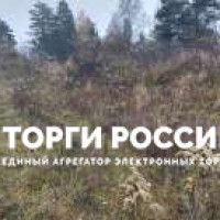 Изображение для лота №4519151