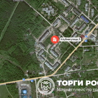 Изображение для лота №4517747