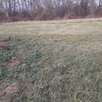 Изображение для лота №4518831