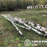 Изображение для лота №4519532