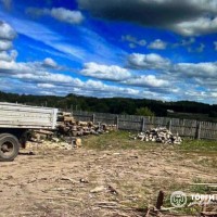 Изображение для лота №4519529
