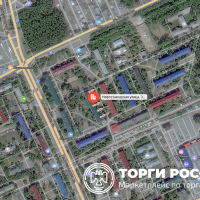 Изображение для лота №4515734