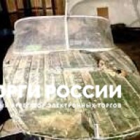 Изображение для лота №4513950